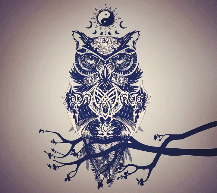 ying yang owl