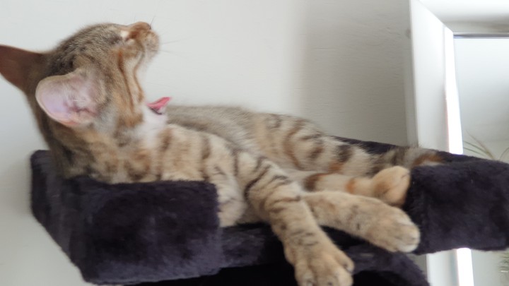 sleepy