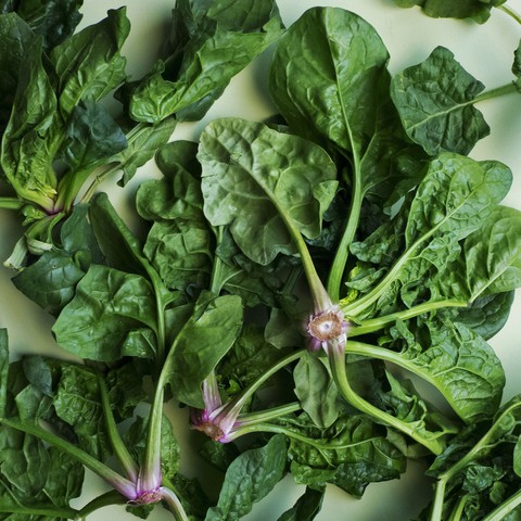 food, Spinach háttérképek