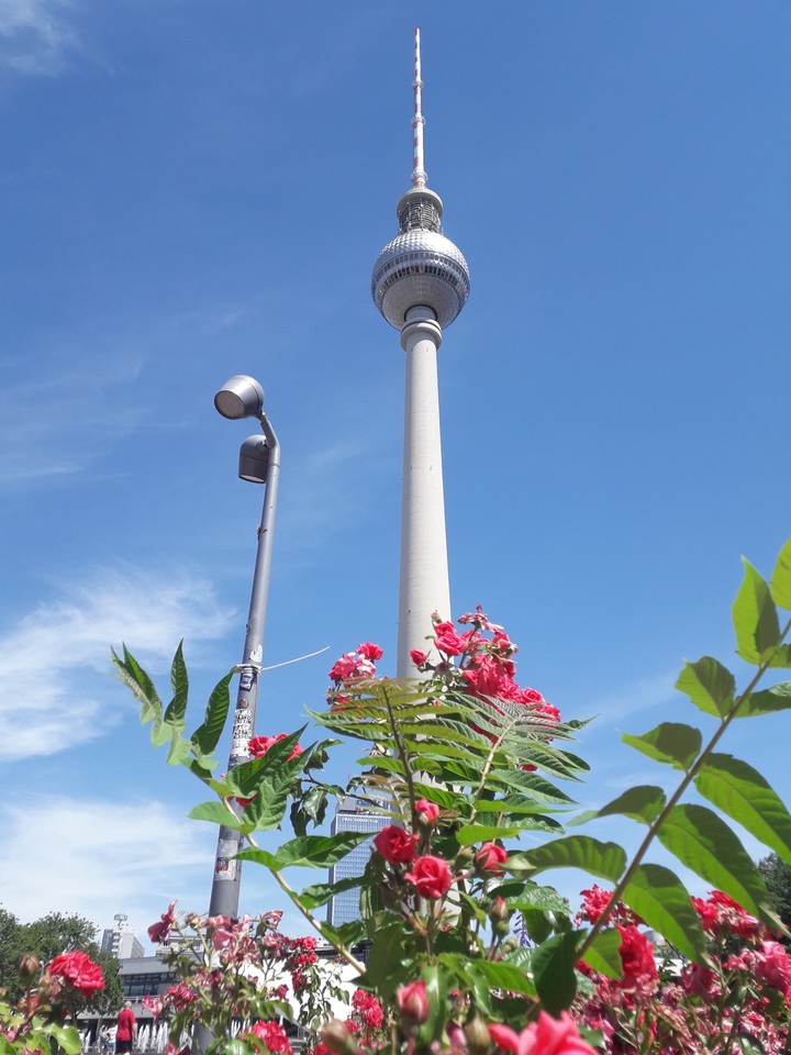 Summer in the Capital