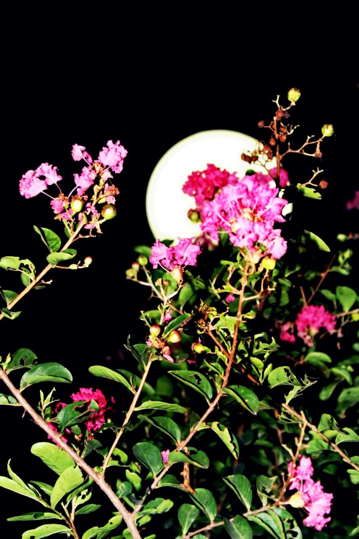 Night photography