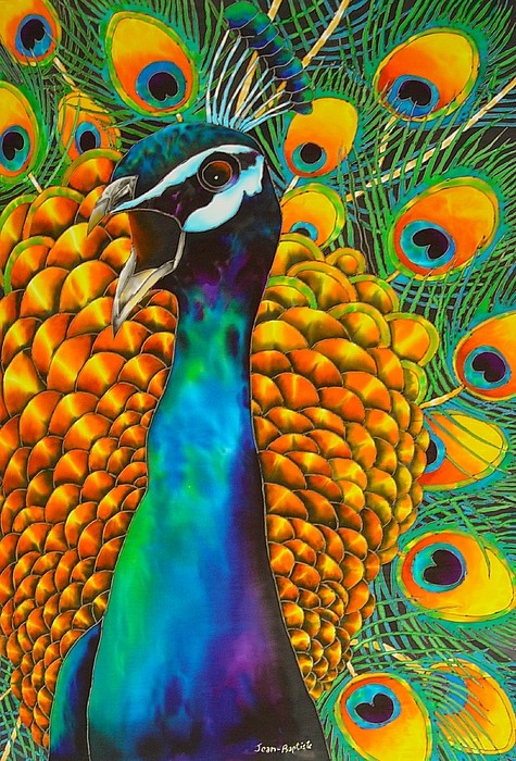 colour full Picock