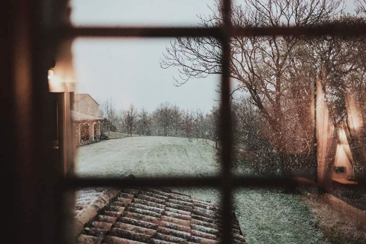Snowfall