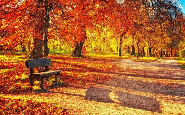 sunnyday