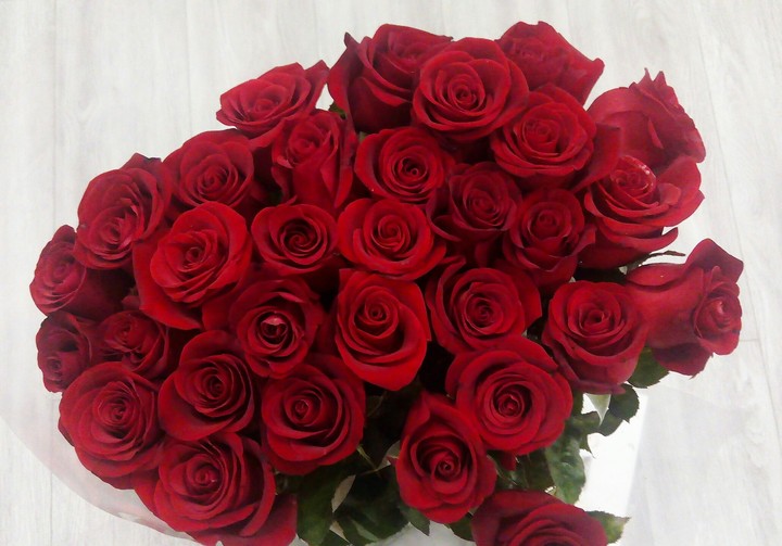 red roses