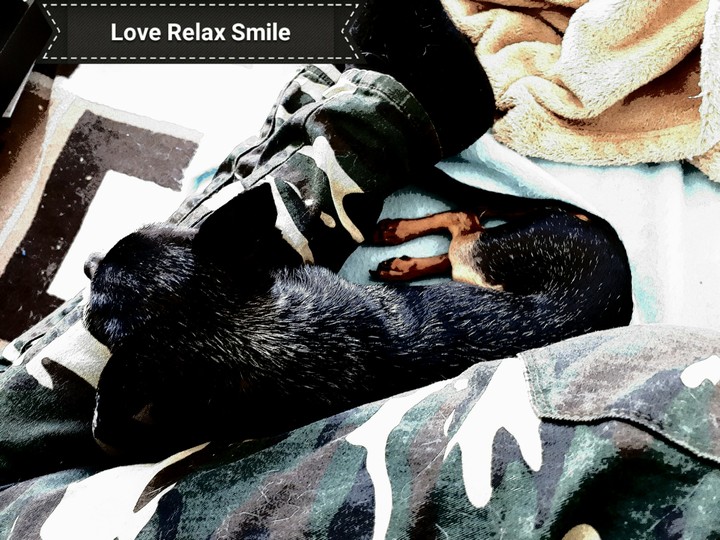 Friday Loves