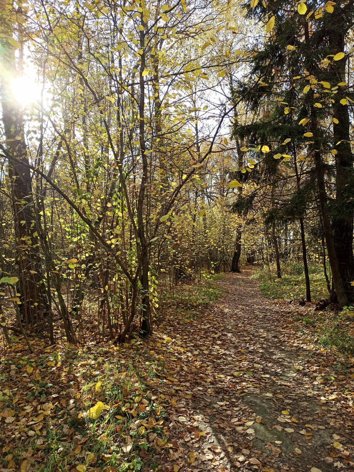 Autumn day