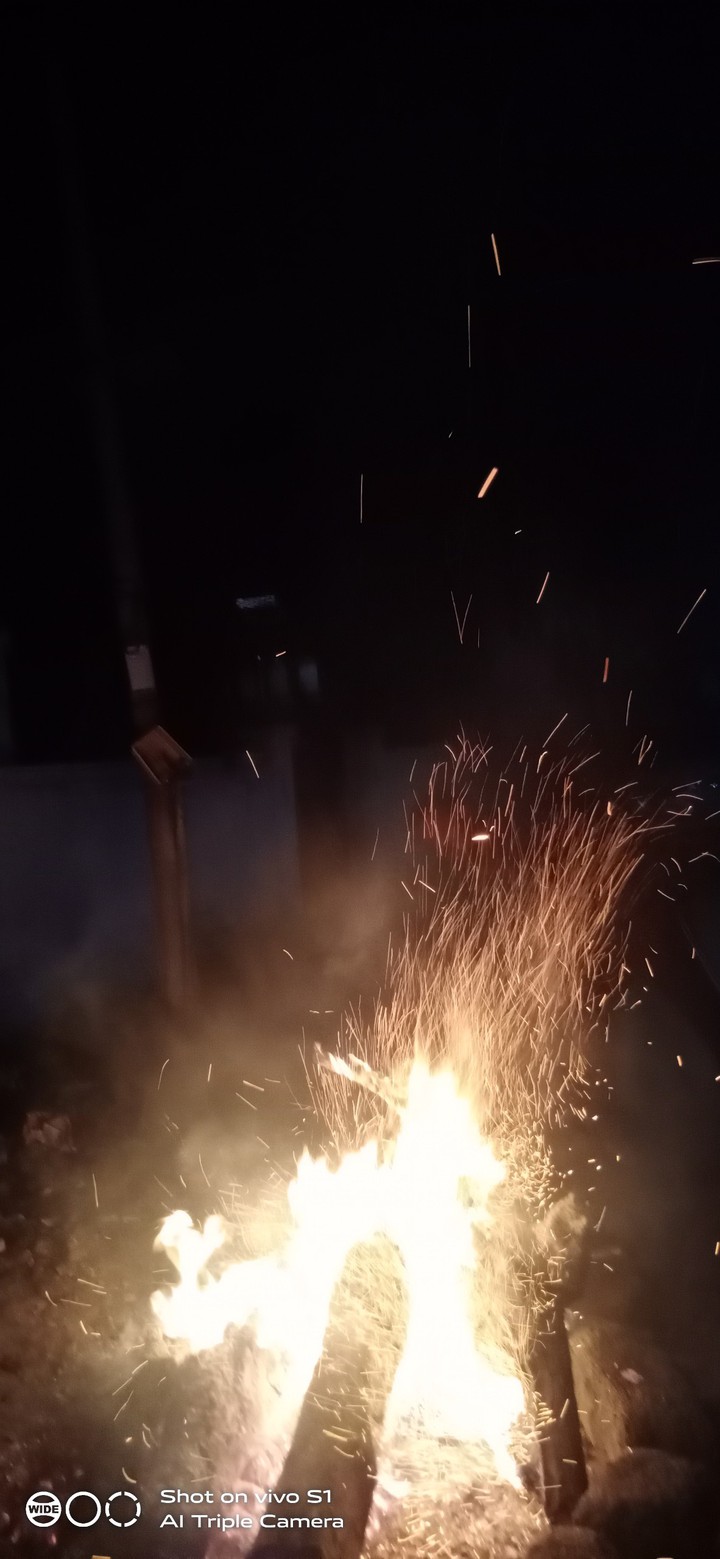 bogi
