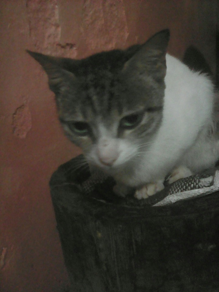 why do you look at me