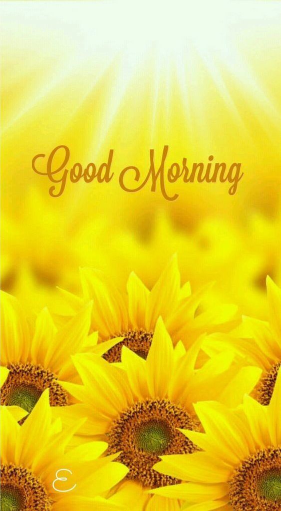 Good morning ❤️