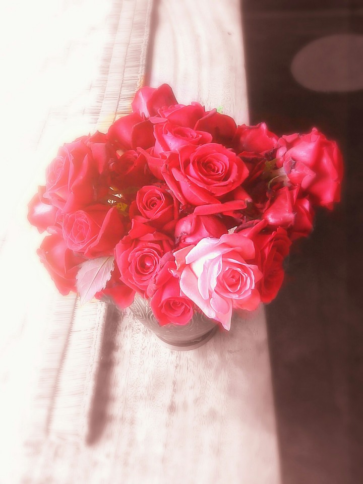 Roses
