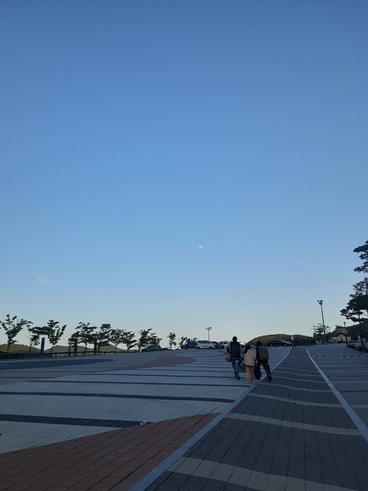 롤린