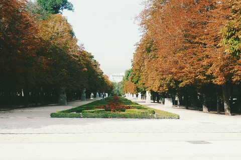 Otoño en Madrid