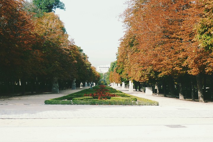 Otoño en Madrid
