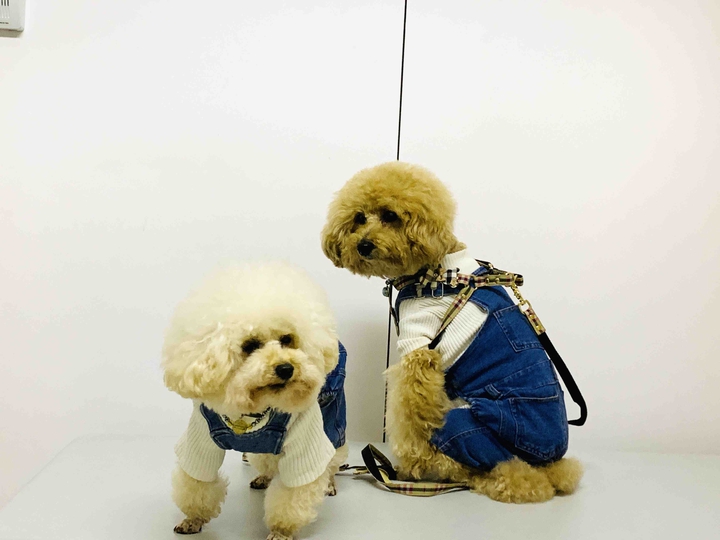 Lucky& Money