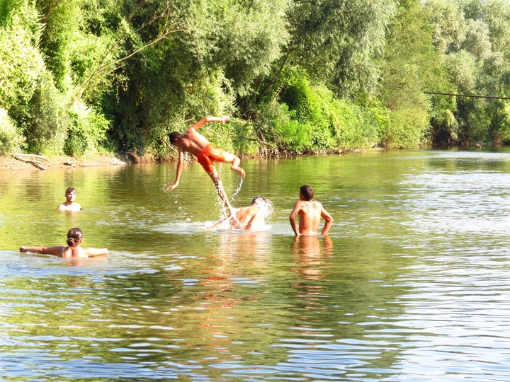 Summer Vibes