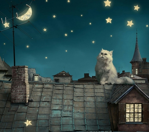 moon
