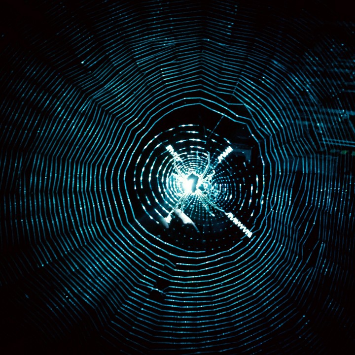 Spider's Web