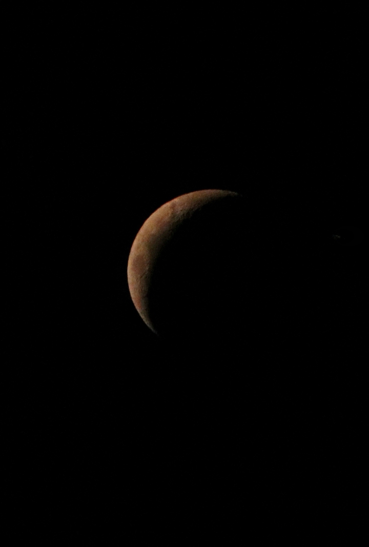 The Moon