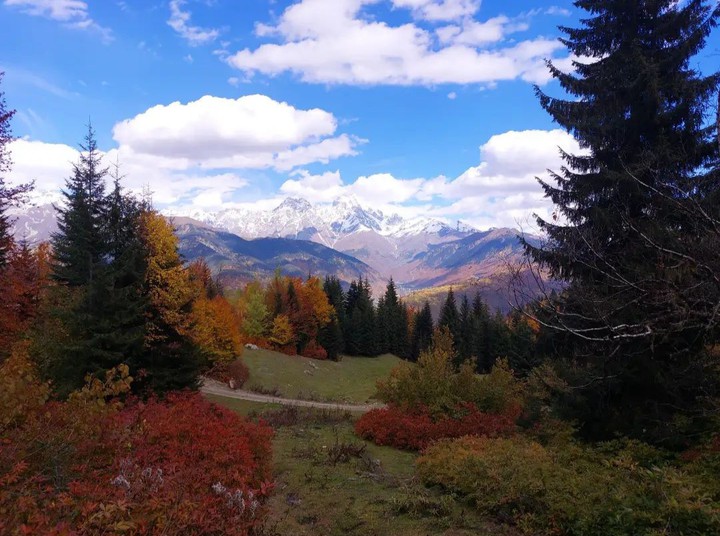 autumn