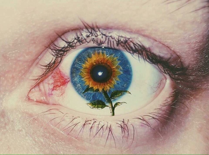 eyes