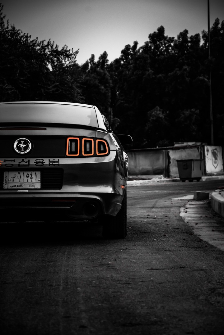 mustang