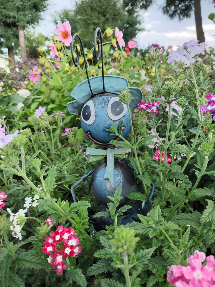 красота