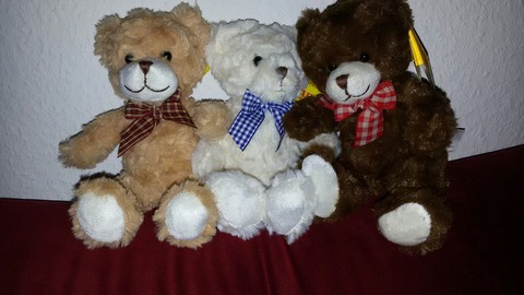 Teddy