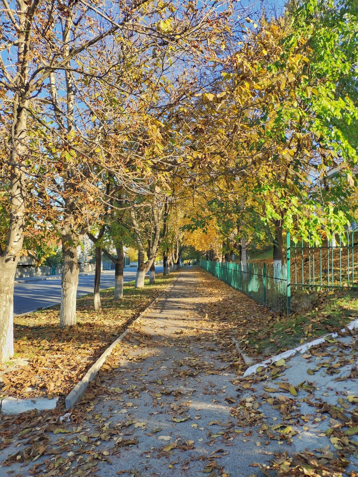 Street