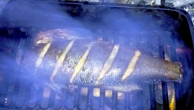 fish