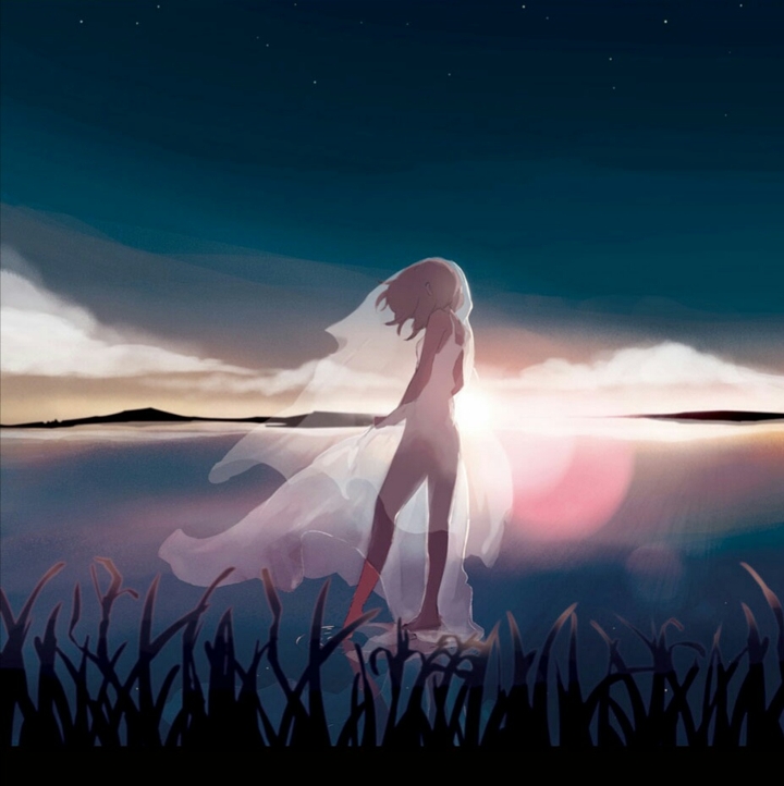 Anime ~ girl