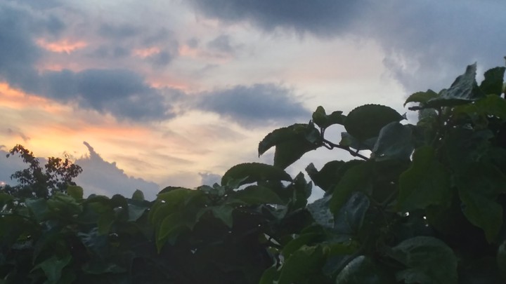 evening after rain