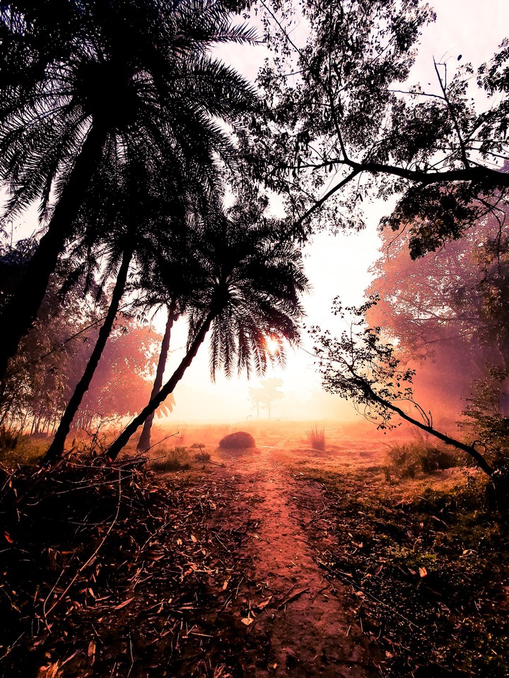 Beautiful morning