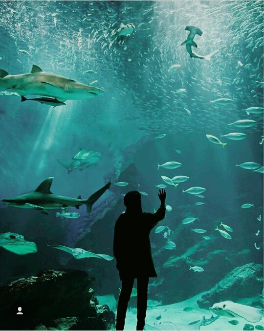 Ocean