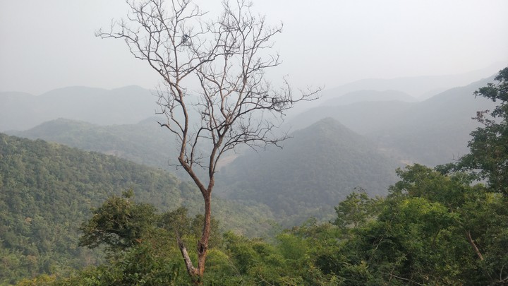 Mountain