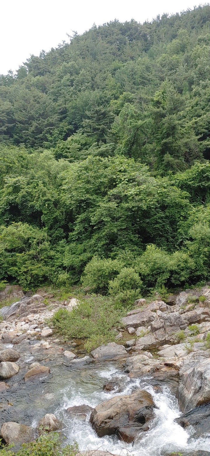 계곡
