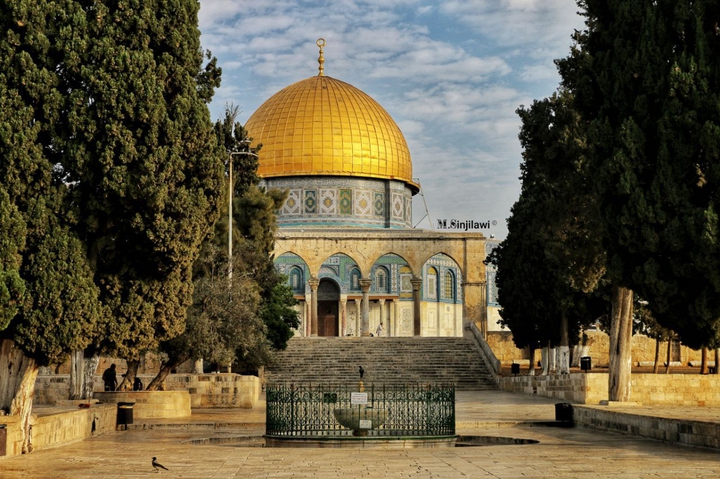 free palestine