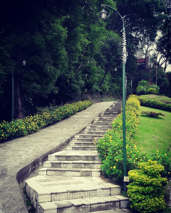 Way to peace!