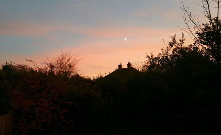 Moon in the sunset