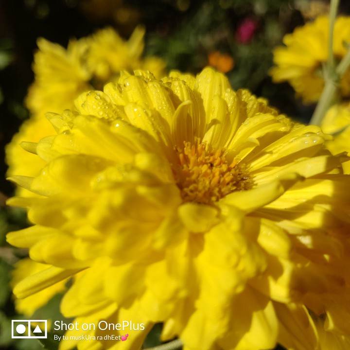 nature
