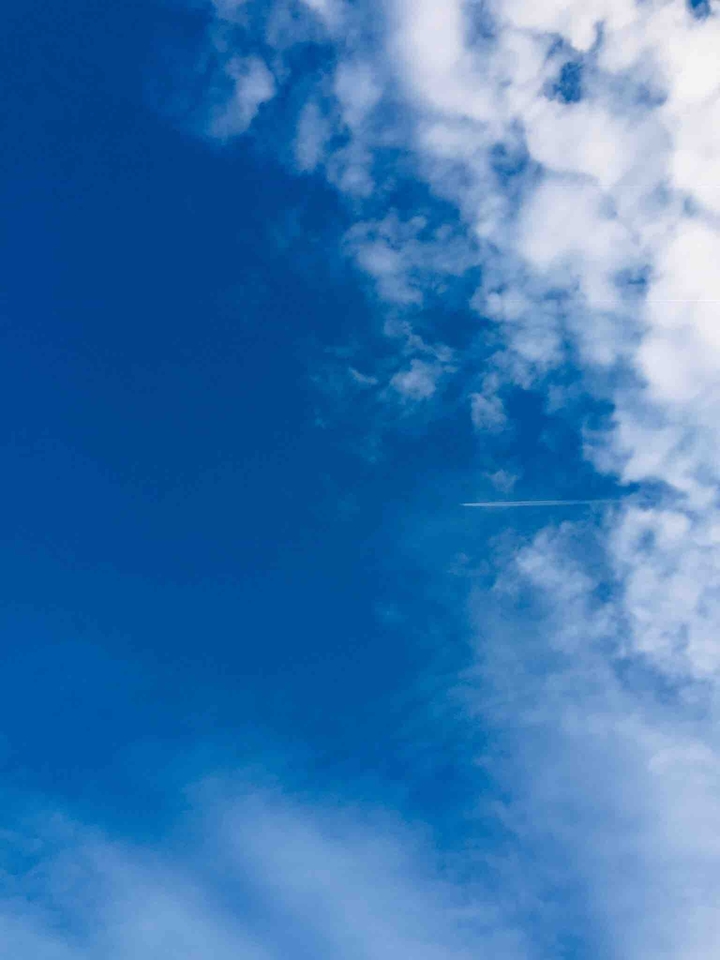 sky and airplane