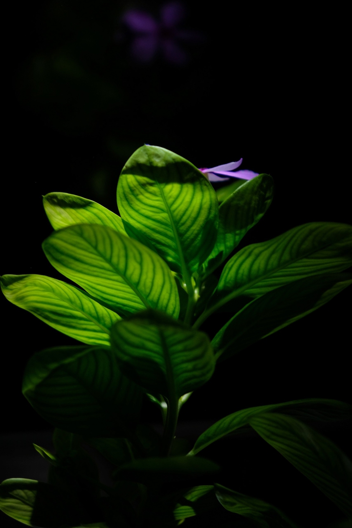 light in the dark..