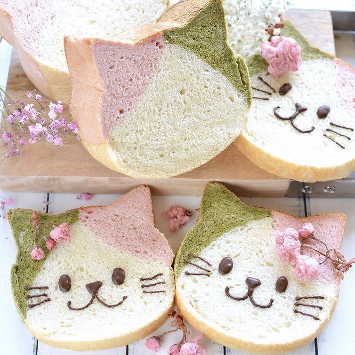 kitty-cat