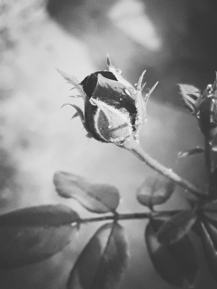MEENAAI PHOTOGRAPHY@iPhone 5s