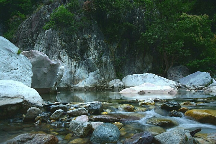 river reflections