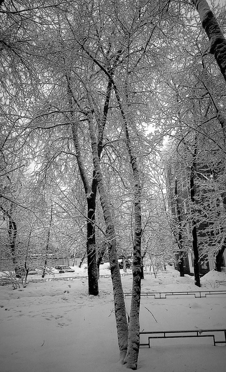 winter