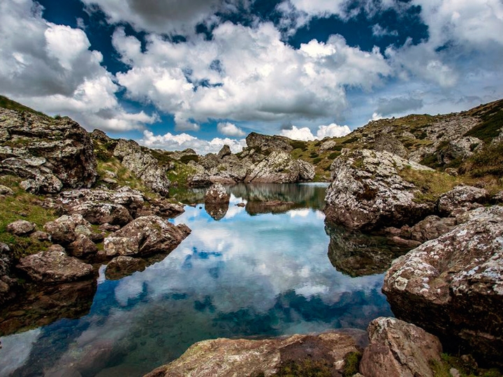 nature