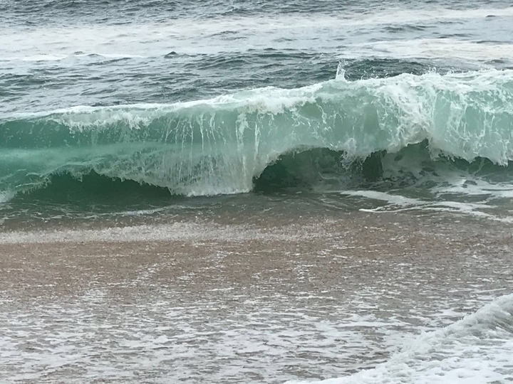 Meer