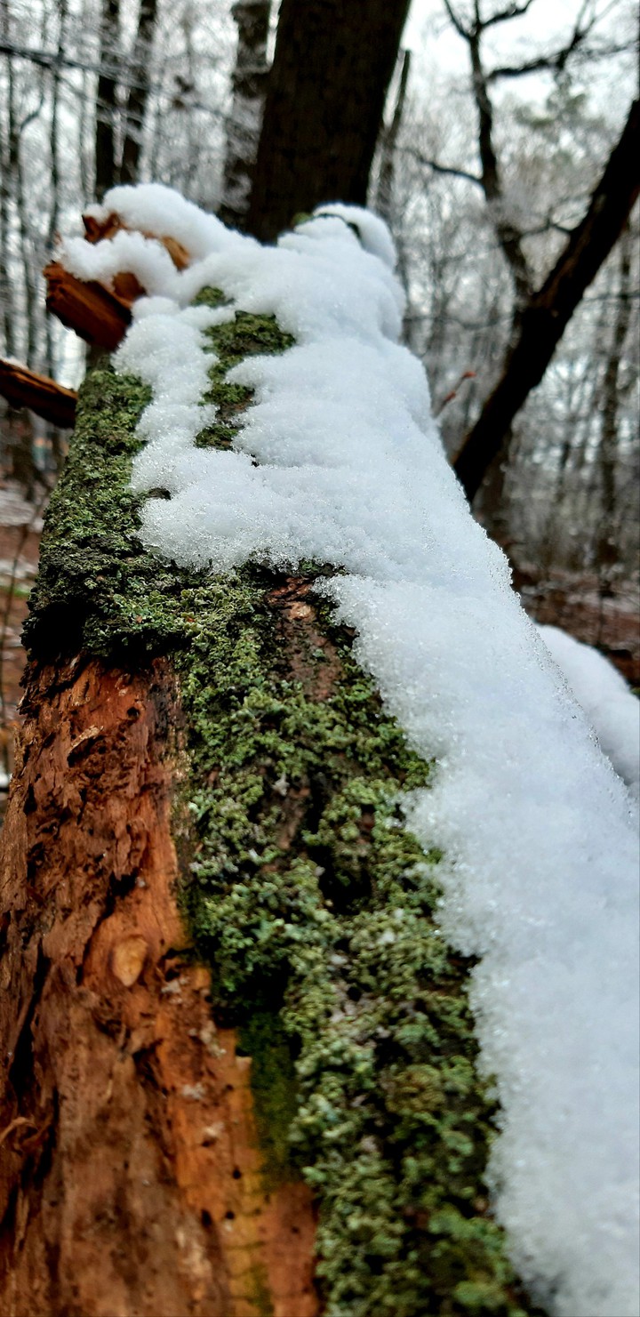 Nature