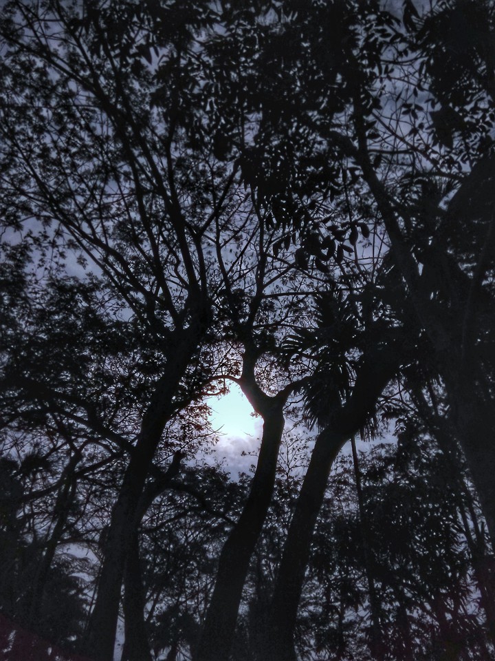 darkness